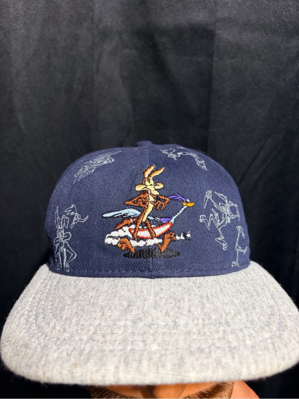 Warner Bros.Wile E. Coyote& Roadrunner Hat